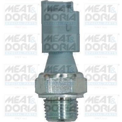 Датчик давления масла MEAT & DORIA 72031