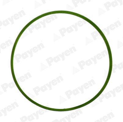 Прокладка, впускной коллектор PAYEN JD5982