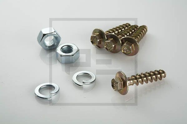 Болт PE 06510020A