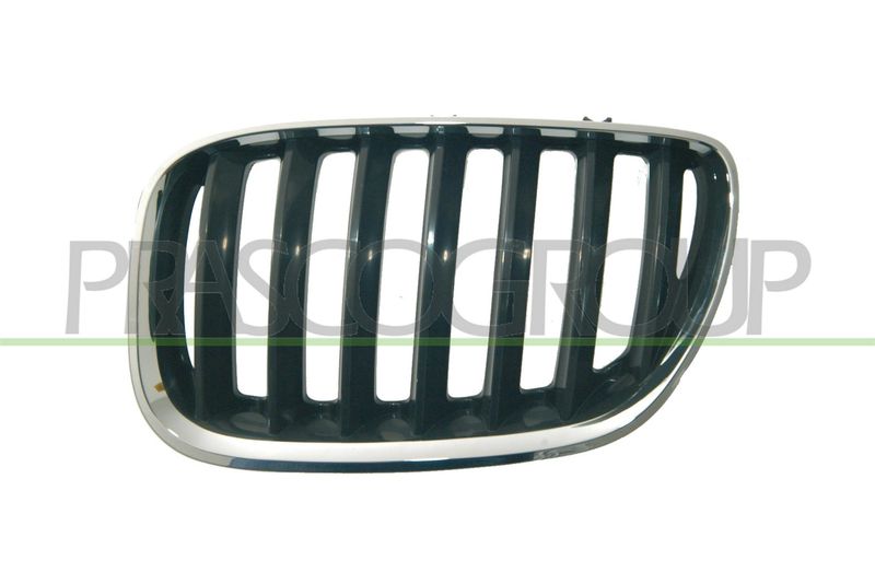 Решетка радиатора PRASCO BM8202024