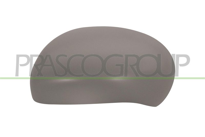 Покрытие, внешнее зеркало PRASCO DS7007414