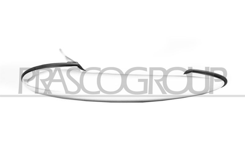 Наружная ручка двери PRASCO MN3048005