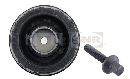 Ременный шкив, коленчатый вал SNR DPF35001K1