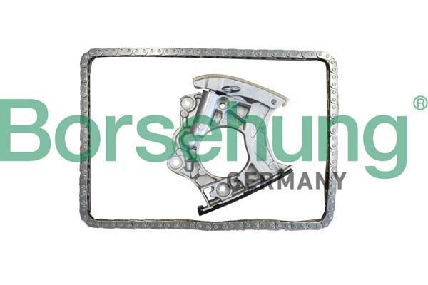 Комплект цели привода распредвала Borsehung B10244