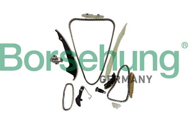Комплект цели привода распредвала Borsehung B10252