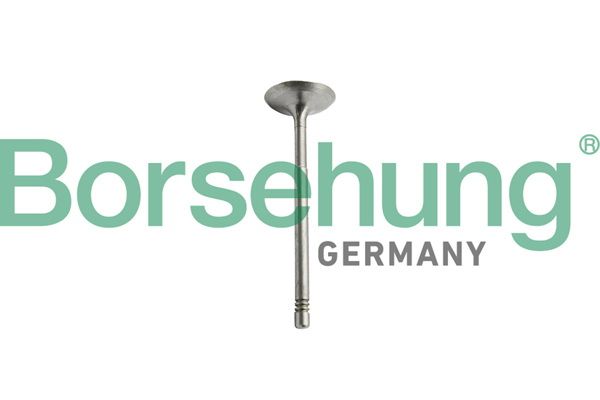 Комплект поршневых колец Borsehung B10344