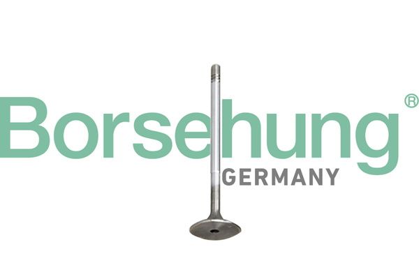 Комплект поршневых колец Borsehung B10345