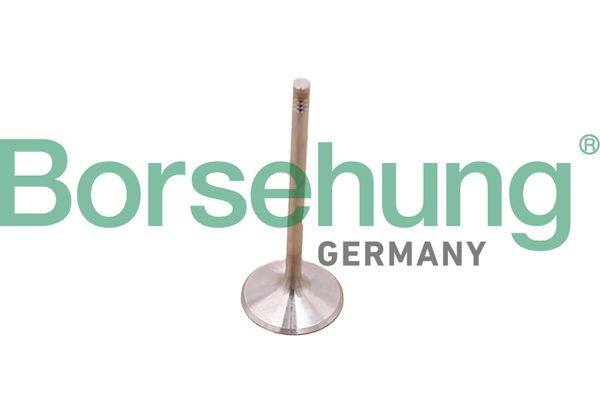 Комплект поршневых колец Borsehung B10348