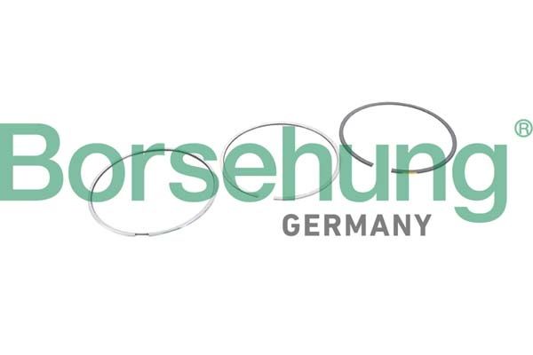Комплект поршневых колец Borsehung B10368