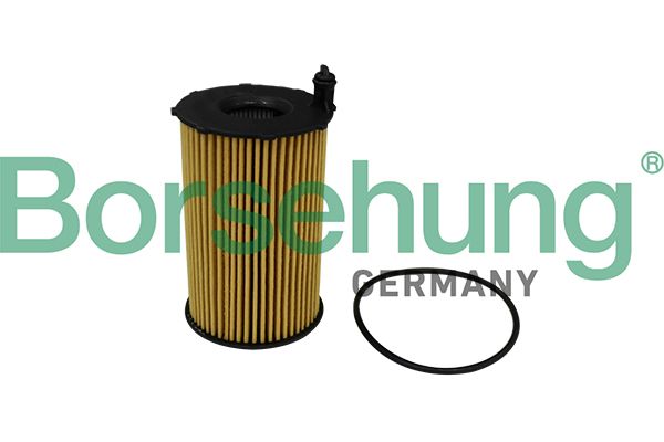 Масляный фильтр Borsehung B10540