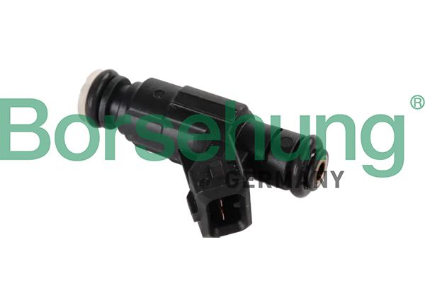 Клапанная форсунка Borsehung B11164