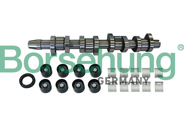 Комплект распредвала Borsehung B11307