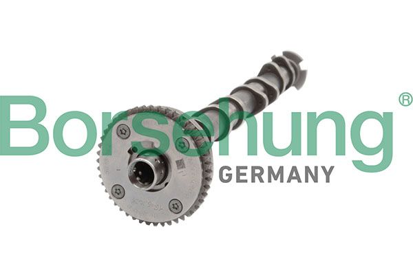 Распредвал Borsehung B11319