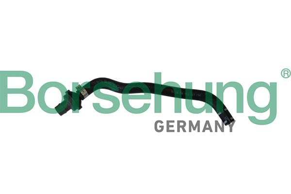 Шланг, вентиляция картера Borsehung B11970