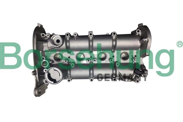 Крышка головки цилиндра Borsehung B12392