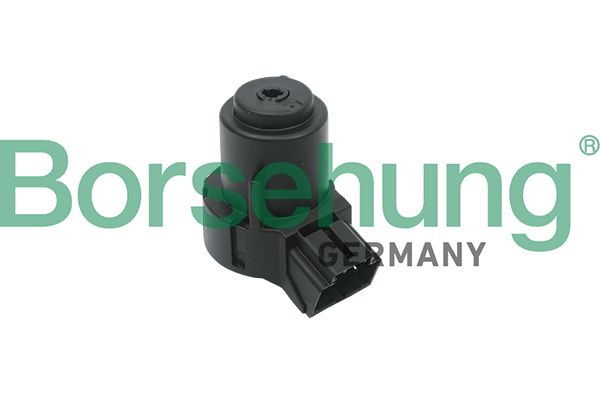 Переключатель зажигания Borsehung B17994