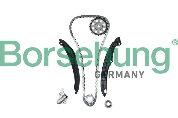 Комплект цели привода распредвала Borsehung B18824
