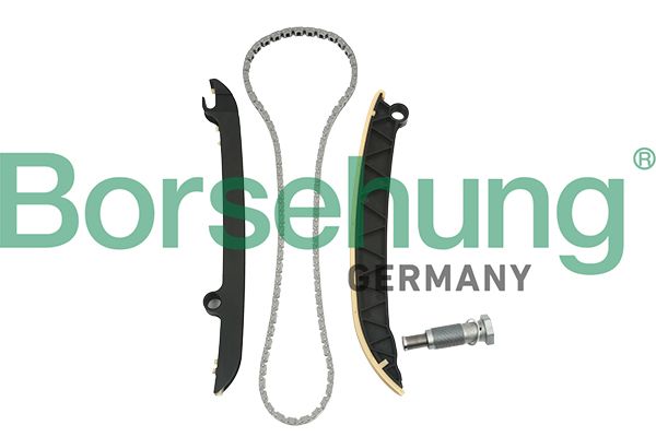Комплект цели привода распредвала Borsehung B18843