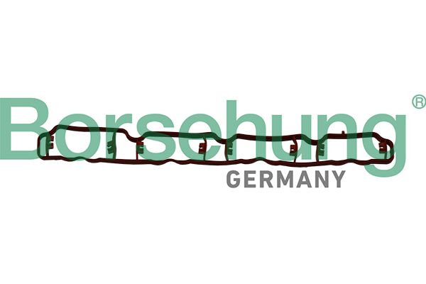 Прокладка, впускной коллектор Borsehung B19250