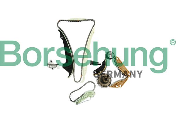 Комплект цели привода распредвала Borsehung B19254