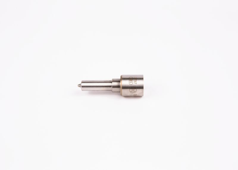 Распылитель BOSCH 0433172119