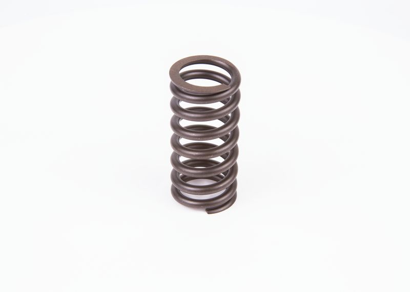 Рессора BOSCH 2414619024
