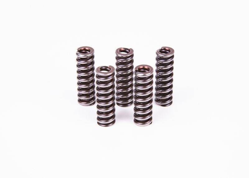 Рессора BOSCH 2434614022