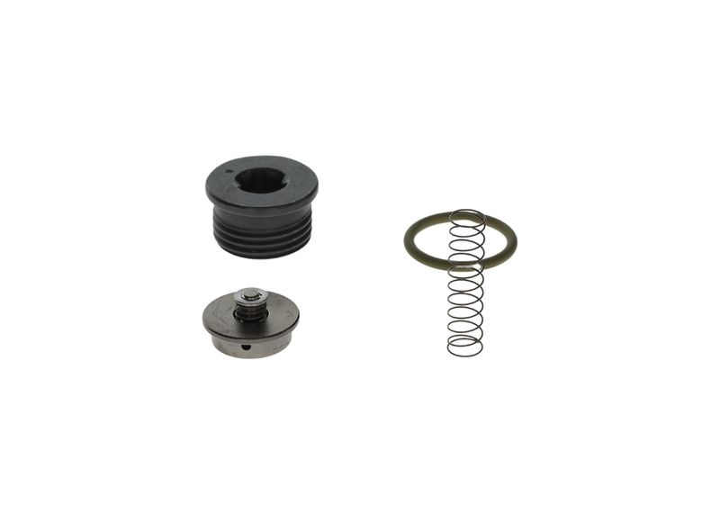 Ремкомплект, система common-rail BOSCH F00N201001