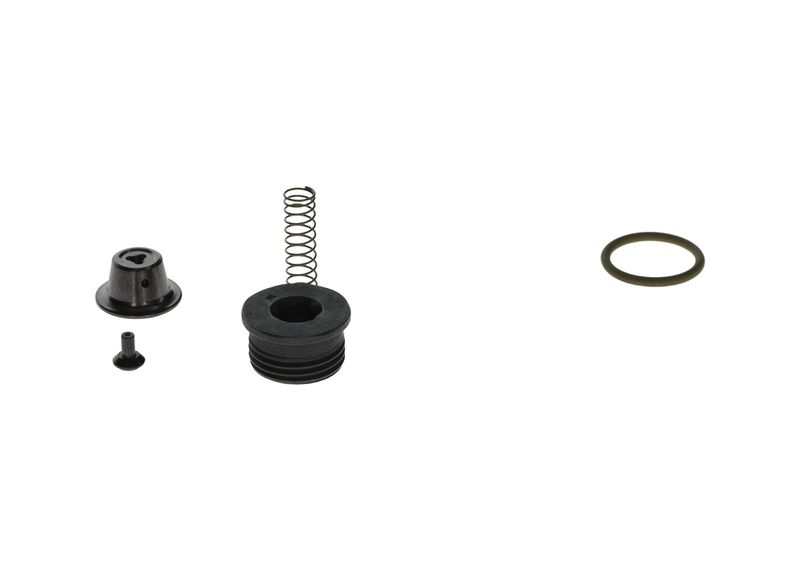 Ремкомплект, система common-rail BOSCH F00N203059