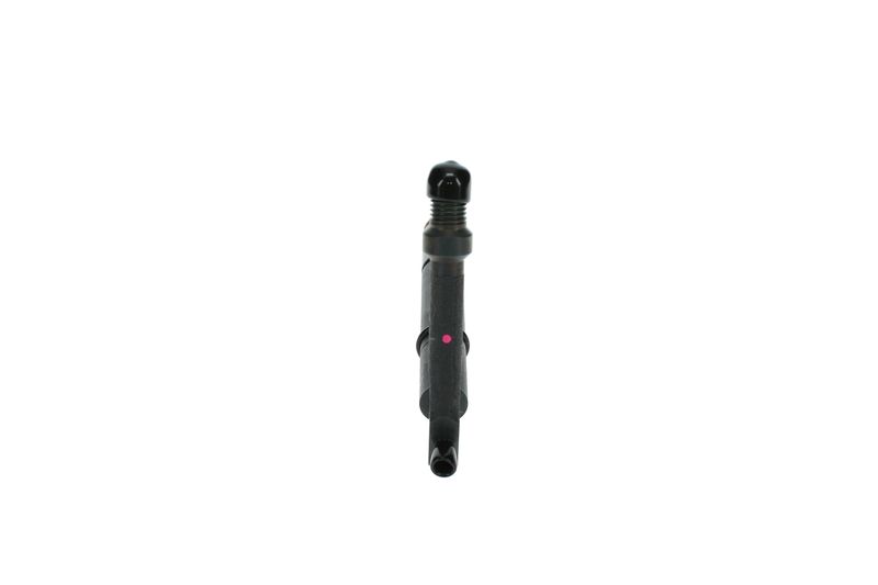 Распылитель BOSCH F01G09X03S