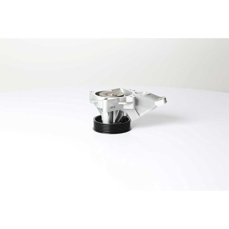 Водяной насос, охлаждение двигателя BSG BSG15500021