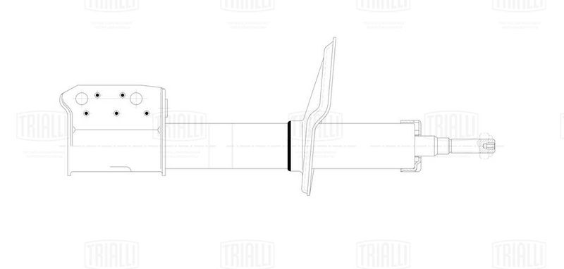 Амортизатор TRIALLI AG01068