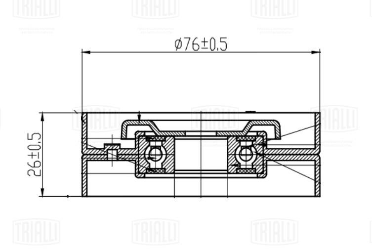 Натяжитель ремня, клиновой зубча TRIALLI CM5409