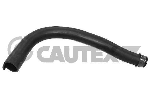 Шланг радиатора CAUTEX 036400