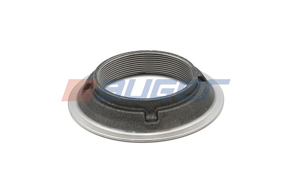 Гайка, цапфа AUGER 68087