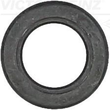 Уплотнительное кольцо, стержень клапана VICTOR REINZ 709342210