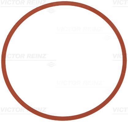 Прокладка, впускной коллектор VICTOR REINZ 711140300