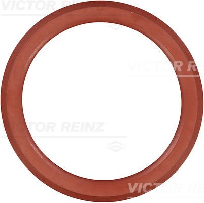 Прокладка, крышка головки цилиндра VICTOR REINZ 713855200