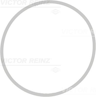 Прокладка, впускной коллектор VICTOR REINZ 713940900