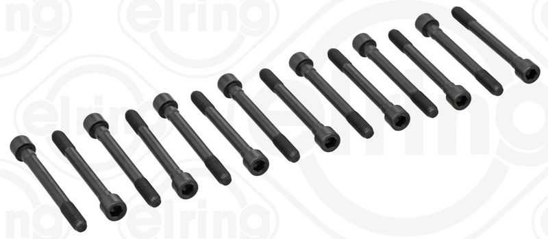 Комплект болтов головки цилидра ELRING 710100