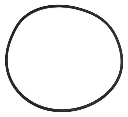 Уплотнительное кольцо ELRING 743401