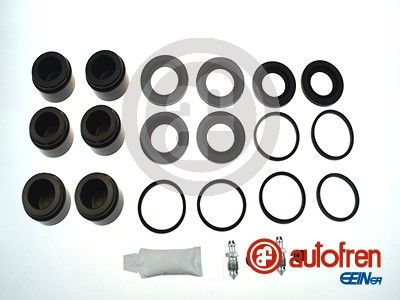 Ремкомплект, тормозной суппорт AUTOFREN SEINSA D42431C
