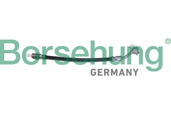 Тормозной шланг Borsehung B10949