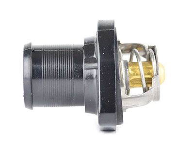 Термостат, охлаждающая жидкость BSG BSG70125002