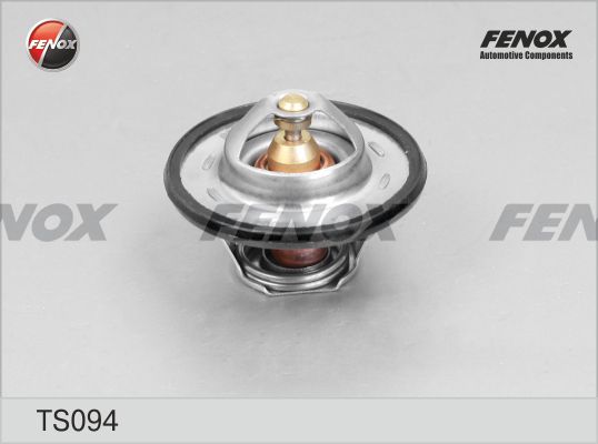 Термостат, охлаждающая жидкость FENOX TS094