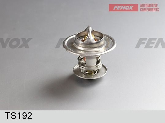 Термостат, охлаждающая жидкость FENOX TS192