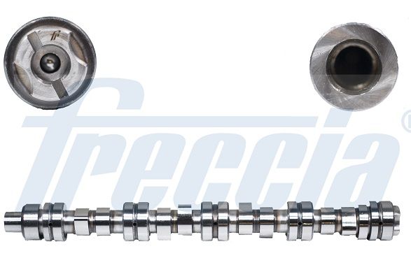 Распредвал FRECCIA CM052153