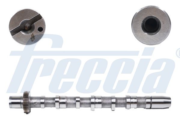 Распредвал FRECCIA CM052189