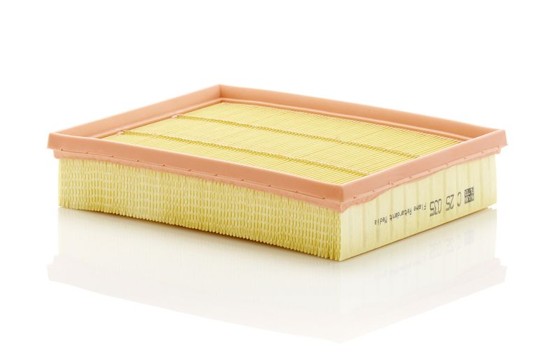 Воздушный фильтр MANN-FILTER C25035