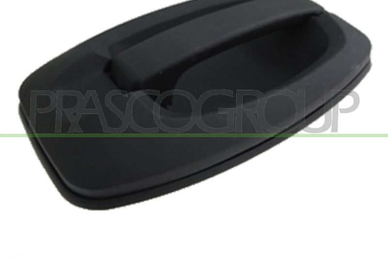 Наружная ручка двери PRASCO FT9308111